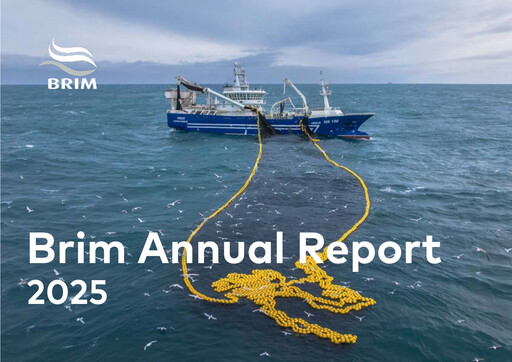 Thumbnail Brim hf. Annual Report 2025