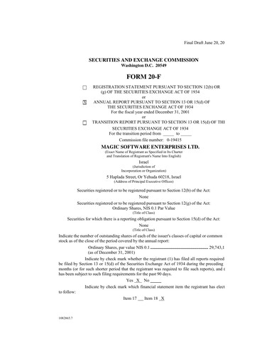 Vorschaubild Magic Software Jahresbericht 2001