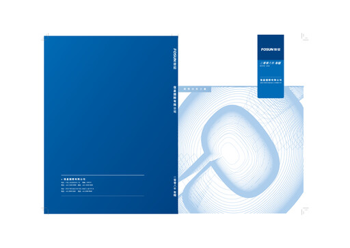 Miniature Fosun Rapport annuel 2008
