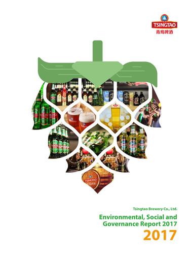 Miniature Tsingtao Rapport ESG 2017