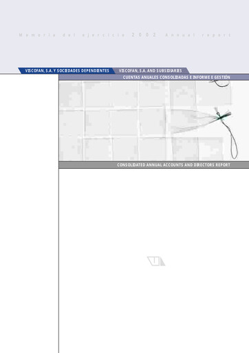 Thumbnail Viscofan Financial Statement 2002