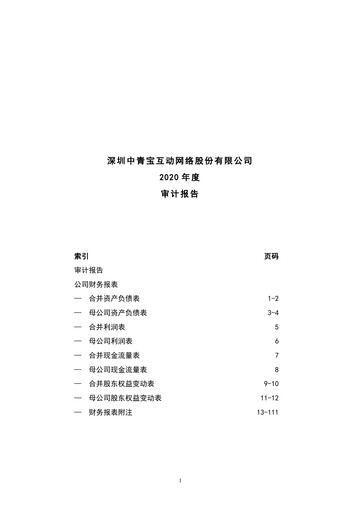 Thumbnail Shenzhen Zqgame Financial Statement 2020