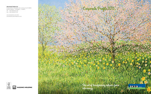 Thumbnail Aksa Energy Annual Report 2015