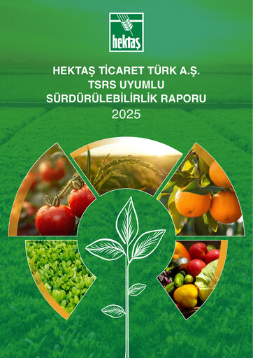 Miniature Hektaş
 Rapport ESG 2025