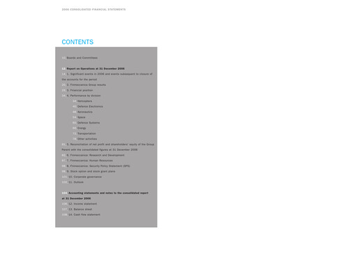 Thumbnail Leonardo Financial Statement 2006