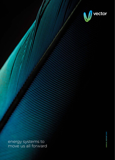 Thumbnail Vector Limited
 Annual Report 2019