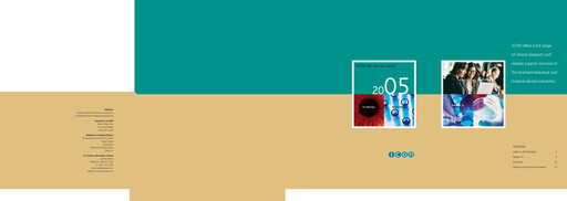 Miniature ICON plc Rapport annuel 2005