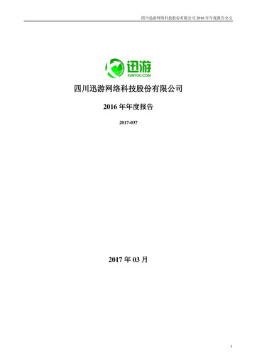 Miniature Sichuan Xunyou Network Technology Rapport annuel 2016