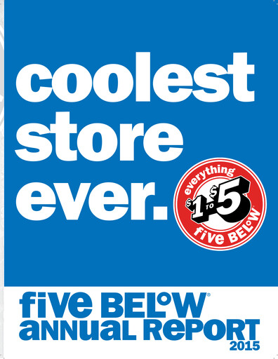 Vorschaubild Five Below
 Jahresbericht 2015