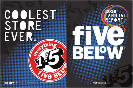 Vorschaubild Five Below
 Jahresbericht 2016
