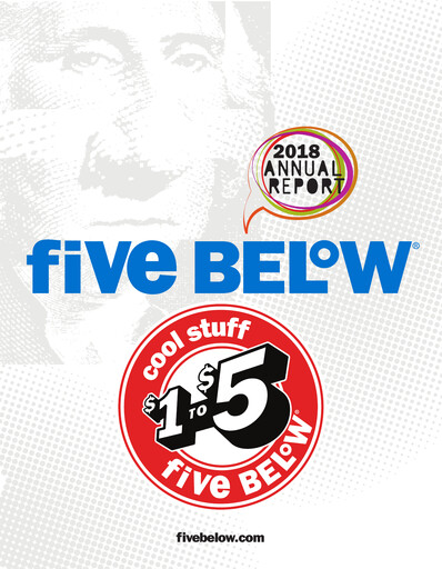 Vorschaubild Five Below
 Jahresbericht 2018