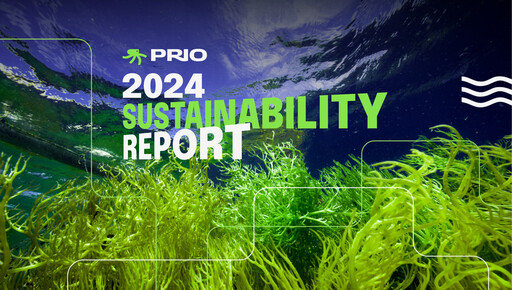 Thumbnail Prio SA (Petro Rio) Sustainability Report 2024