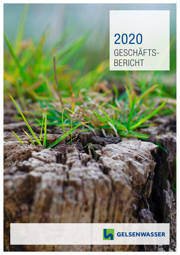 Thumbnail Gelsenwasser Annual Report 2020