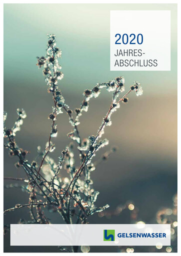 Thumbnail Gelsenwasser Financial Statement 2020