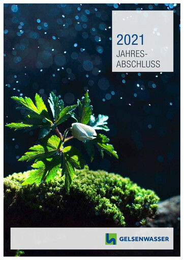 Thumbnail Gelsenwasser Financial Statement 2021