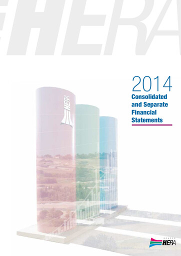 Thumbnail Hera Group Financial Statement 2014