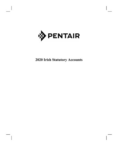 Thumbnail Pentair
 Financial Statement 2020