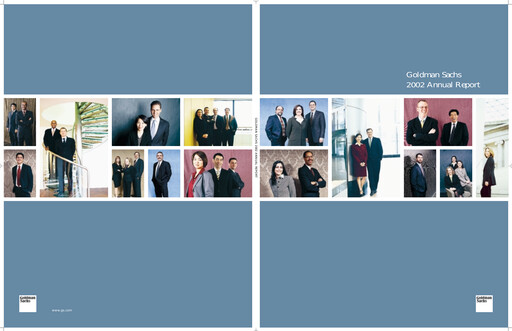 Thumbnail Goldman Sachs Annual Report 2002