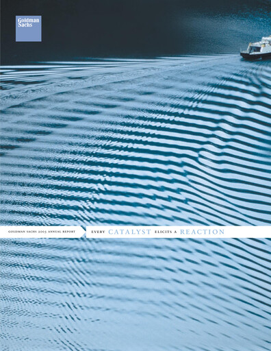 Thumbnail Goldman Sachs Annual Report 2003