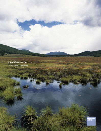 Thumbnail Goldman Sachs Annual Report 2004