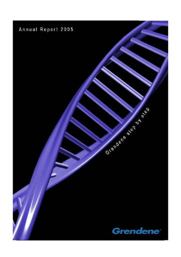 Miniature Grendene Rapport annuel 2005