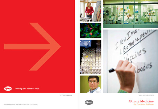 Miniature Pfizer Rapport annuel 2006