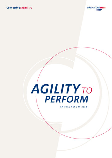 Vorschaubild Brenntag Jahresbericht 2018
