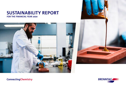 Thumbnail Brenntag Sustainability Report 2020