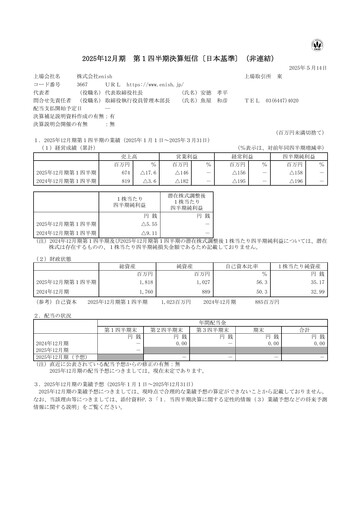 Miniature enish Rapport trimestriel fy2025-q1