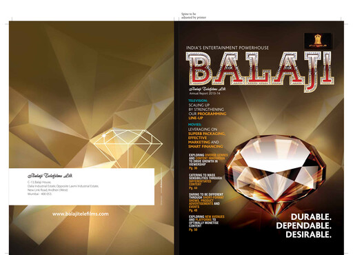 Miniature Balaji Telefilms
 Rapport annuel 2013-2014