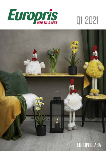 Thumbnail Europris Quarterly Report 2021-q1