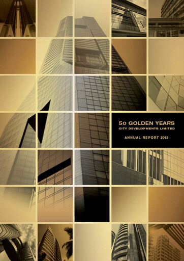 Thumbnail City Developments Annual Report 2013