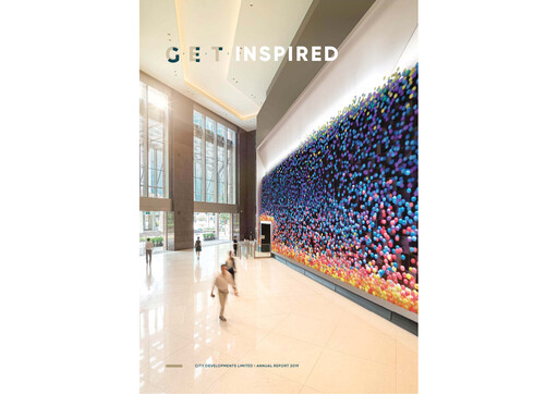 Thumbnail City Developments Annual Report 2019