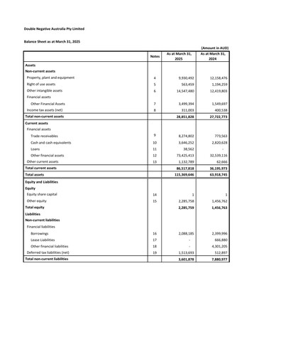 Thumbnail Prime Focus Financial Statement 2024-2025