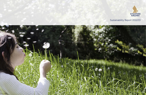 Miniature Singapore Airlines Rapport de durabilité 2012-2013