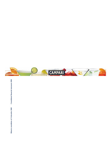 Thumbnail Davide Campari-Milano Financial Statement 2008