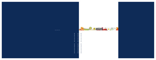 Thumbnail Davide Campari-Milano Half-year Report 2006-h1