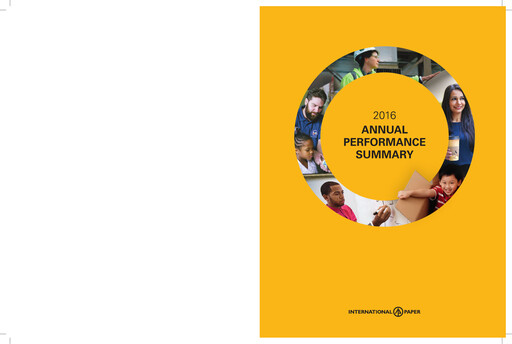 Miniature International Paper
 Rapport annuel 2016