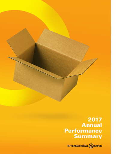 Miniature International Paper
 Rapport annuel 2017