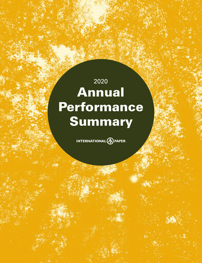 Miniature International Paper
 Rapport annuel 2020
