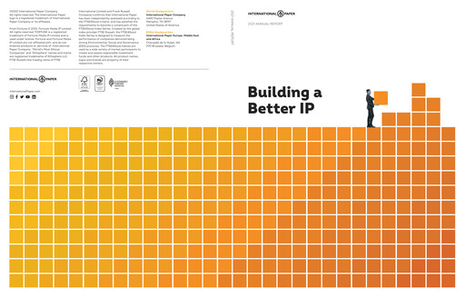 Miniature International Paper
 Rapport annuel 2021