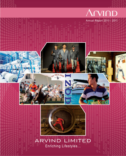 Vorschaubild Arvind
 Jahresbericht 2010-2011