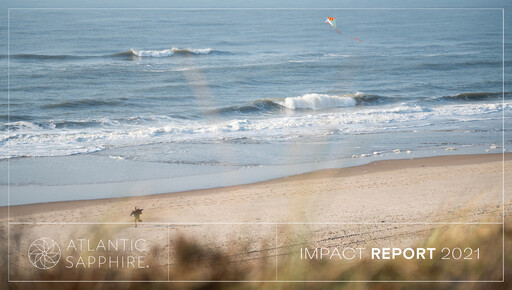 Vorschaubild Atlantic Sapphire ESG-Bericht 2021