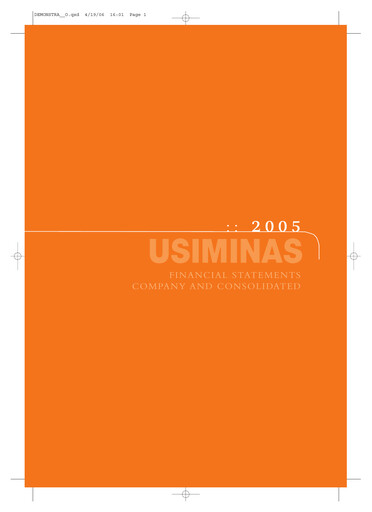 Thumbnail Usiminas Financial Statement 2005