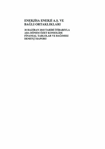 Thumbnail Enerjisa Enerji
 Financial Statement 2018-h1