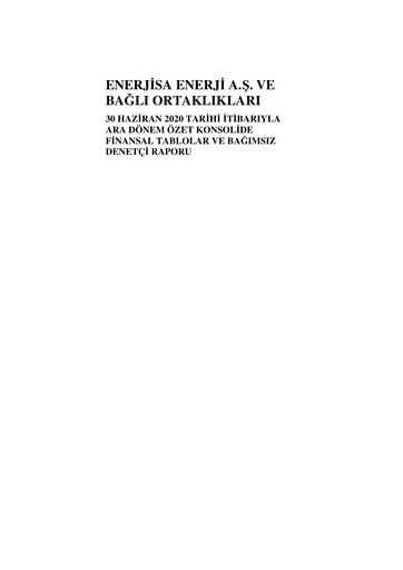 Thumbnail Enerjisa Enerji
 Half-year Report 2020-h1