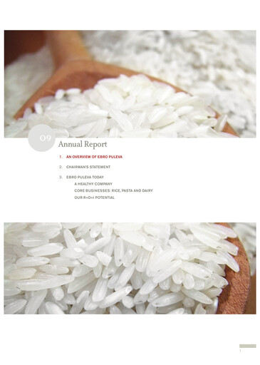 Thumbnail Ebro Foods
 Annual Report 2009