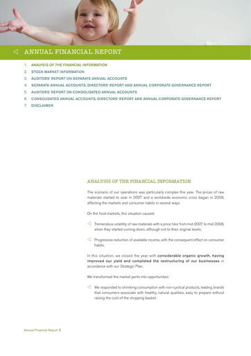 Miniature Ebro Foods
 Bilan financier 2008