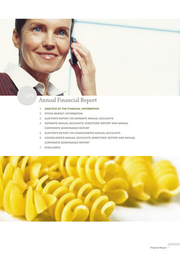 Miniature Ebro Foods
 Bilan financier 2009
