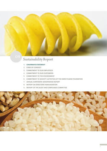 Miniature Ebro Foods
 Rapport de durabilité 2009